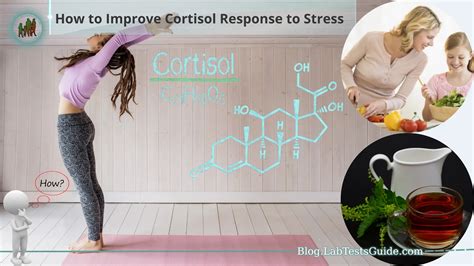 How To Improve Cortisol Response To Stress Lab Tests Guide Blog