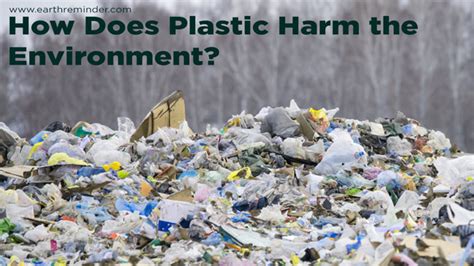 How Does Plastic Harm The Environment Earth Reminder