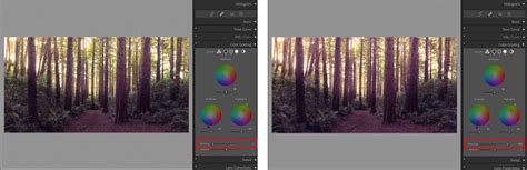 How To Use The Color Grading Tool In Lightroom Pretty Presets For