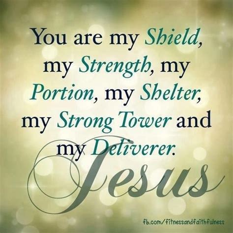 You Are My Shield My Strength My Portion My Shelter My Strong Tower And My Deliverer