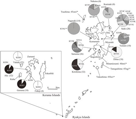 Geographic Origin And Genetic Structure Of Introduced Sika Deer Kerama