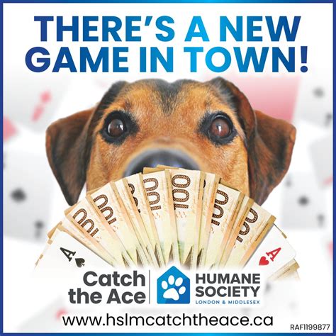 Humane Society London And Middlesexs Catch The Ace Globalnews Events