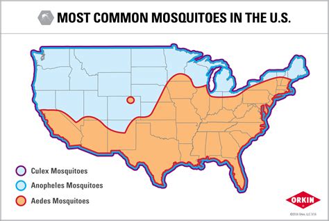 Southeast Region Leads The Pack Of Orkins 2016 Top Mosquito Cities Orkin