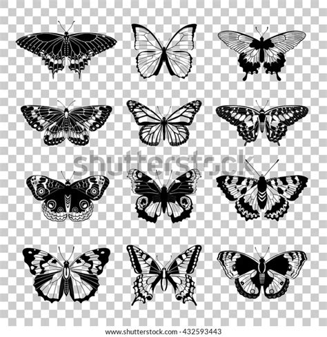 Set Butterflies Silhouettes Butterfly Icons Isolated Stock Vector
