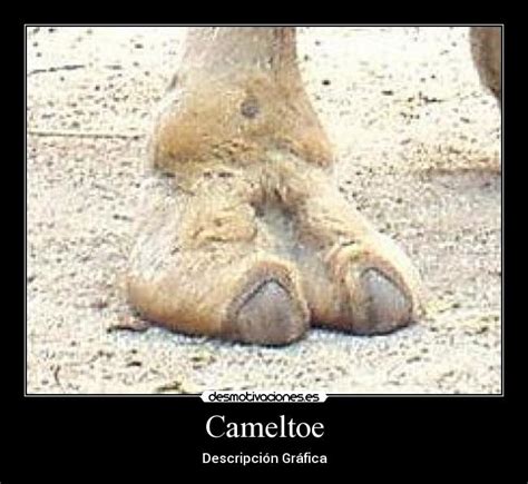 Una Chica Muestra Un Camel Toe Con Alguna Intención Foros Perú