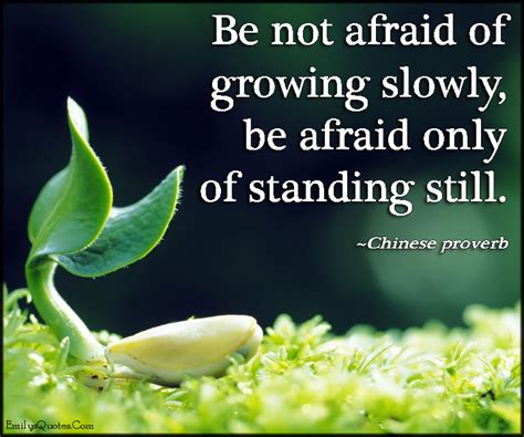 Be Not Afraid Of Growing Slowly Be Afraid Only Of Standing Still