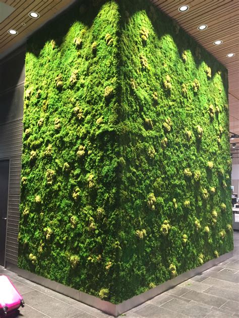 This Moss Wall In The Oslo Norway International Airport R