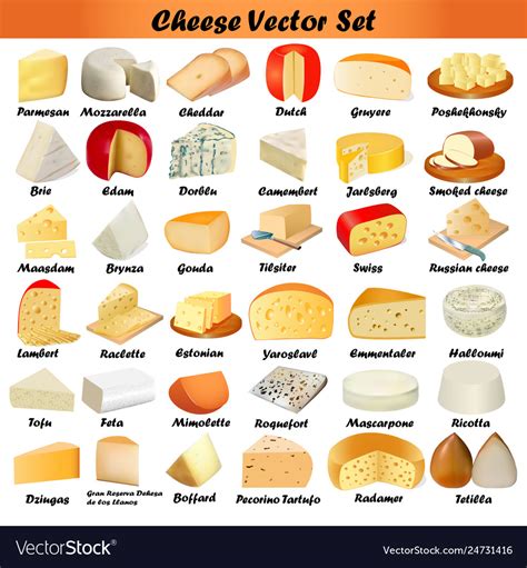 Set Different Types Cheese On A White Royalty Free Vector
