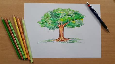 Tutorial How To Draw A Tree And Color It Using Pencil YouTube