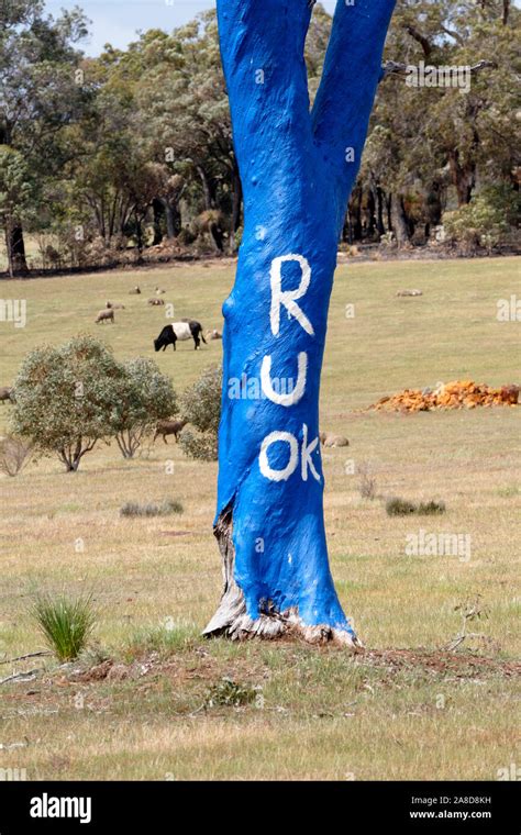 Sind Sie Ok Tree R U Ok Baum Blau Symbolisiert Die Geistige Krankheit