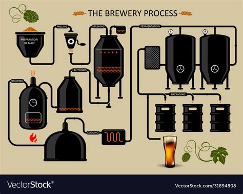 Diagram Process Brewing Beer Detailed Royalty Free Vector
