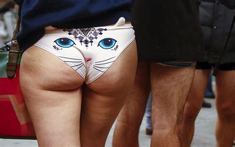 Panting in cats may be normal, but some causes of panting in cats are very serious and even life threatening. The 2016 No Pants Subway Ride. Don't panic. We mean ...