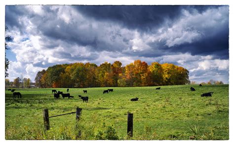 Autumn Pasture Paulh192 Flickr