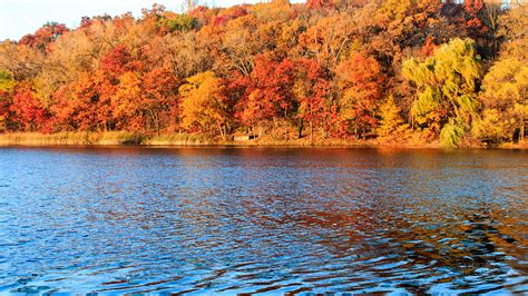 Minnesota Seasons Autumnal Wallpapers