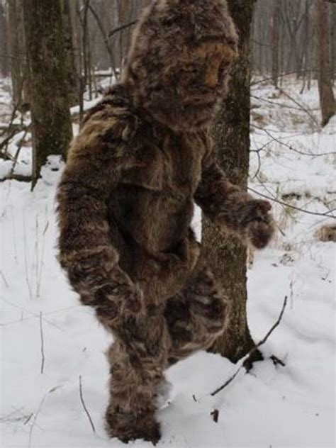 Bigfoot Sighting In Mcdowell Fur Clad Tourist Claims Responsibility