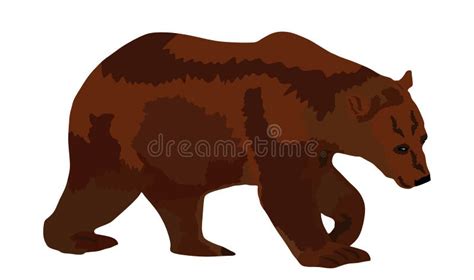 Bear Vector Illustration Isolated On White Background Grizzly Symbol