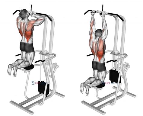 Assisted Parallel Close Grip Pull Ups Home Gym Review