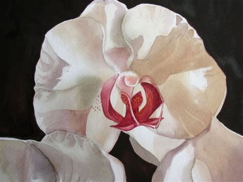 Moonlight Orchid Watercolour By Alfred Ng Artfinder