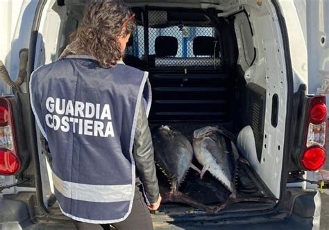 Pesca Illegale A Vibo Valentia Sequestrati Quasi 100 Chili Di Tonno