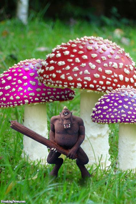Maybe you would like to learn more about one of these? Mushroom Quotes And Sayings. QuotesGram