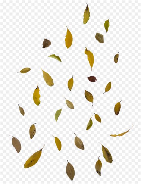 Autumn Leaf Color Clip Art Falling Leaves Transparent Background Png