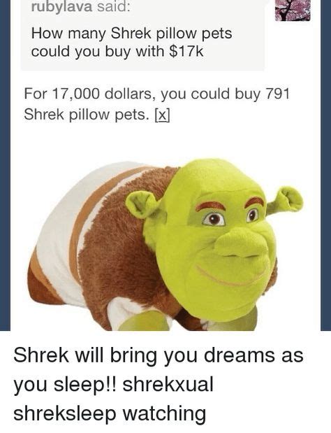 Pin By Derpy Burger On Shrek Memes Shrek Memes Animal Pillows Shrek