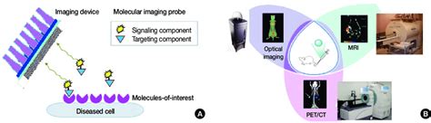 Basic Principles Of Molecular Imaging A Molecular Imaging Probes