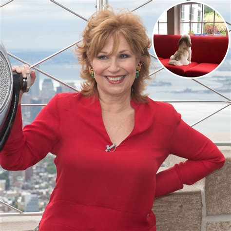 Joy Behar House Photos Pictures Of ‘the View’ Host Home Closer Weekly