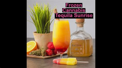 How To Make A Cannabis Infused Frozen Tequila Sunrise Cannadish Youtube