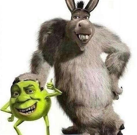 17 Shrek Memes That Ll Make Your Brain Smart But Your Head Dumb Memes