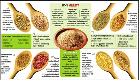 Millets 101 Millet 101 By Ally Palaniappan Medium