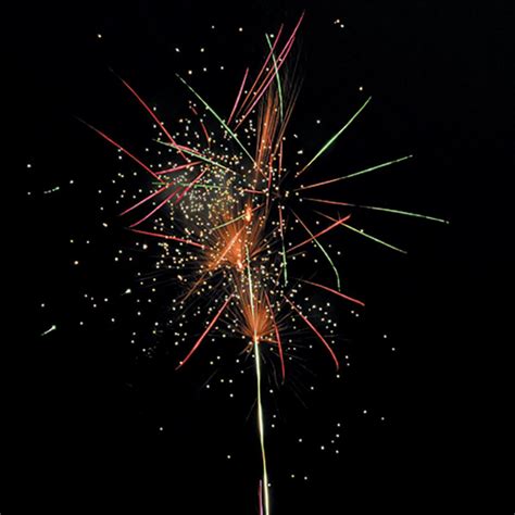 Independence Day Single Ignition Firework Black Cat Fireworks