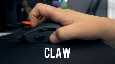 Best Gaming Mouse For Palm Claw And Fingertip Grips 2018
