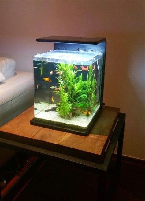 30 Modern Small Fish Tank Decoomo