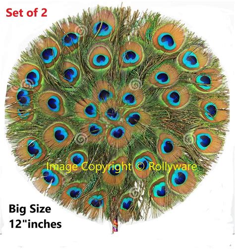 Rollyware Natural Peacock Feather More Pankh Fan Tails Original Full