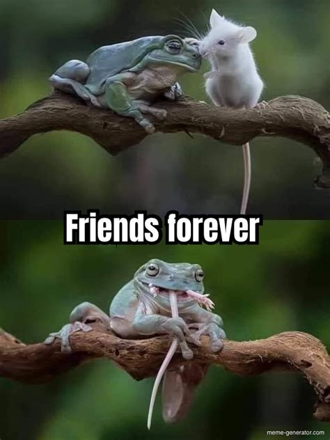 Friends Forever Meme Generator
