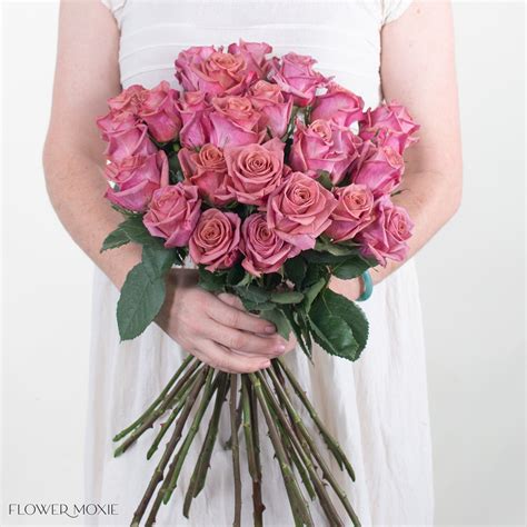 Mauve Pink Barista Roses Fresh Diy Wedding Flowers Flower Moxie