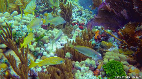 Biscayne National Underwater Park
