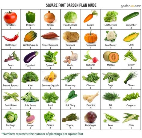 Great Chart Garden Layout Vegetable Vegetable Garden Planner Square