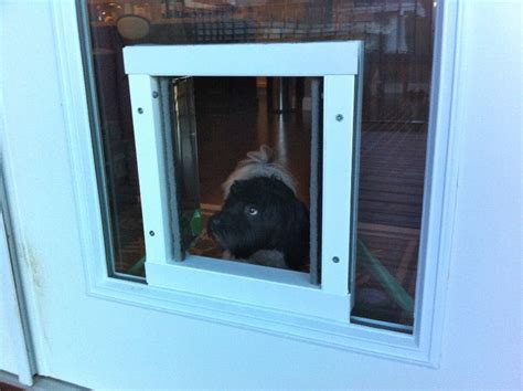 An installation that replaces the glass panel in your door with a patent pending conversion kit. Doggy Doors Have Come a Long Way Baby. They Can Install in ...