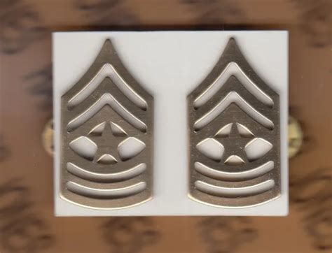 Us Army Enlisted Sgm Sergeant Major E 9 Dress Rank Badge Set Clutchback