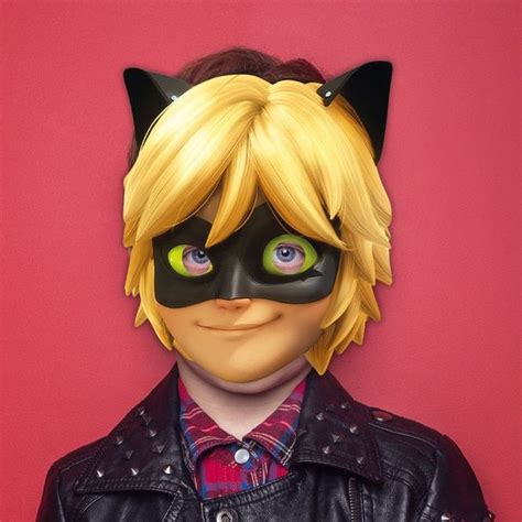 I plated each meal and, fully masked, delivered each dinner to the table. Cat Noir Character Mask | Noir, Party face masks, Dinner ...