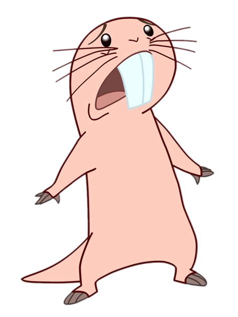 Kim Possible Rufus Frigthened Transparent PNG StickPNG