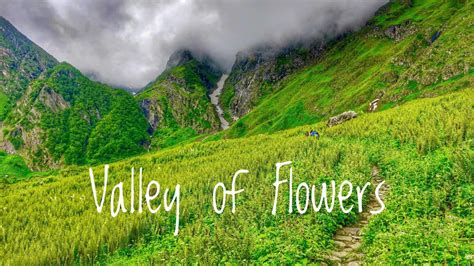 Valley Of Flowers And Hemkund Sahib Trek Uttarakhand July Gopro