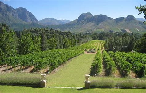 Visit The Idyllic Vineyards Of Franschhoek South Africa Worldtravelling
