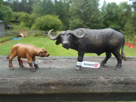 African Buffalo And Calf By Schleich Toy1464014641 Retired Ebay