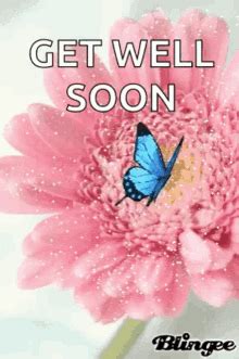 Feel better soon flowers gif. Get Well Flowers GIFs | Tenor