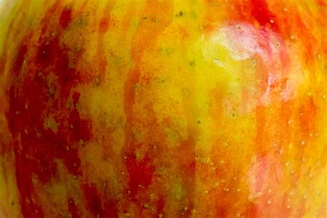 Royalty Free Apple Skin Texture Pictures Images And Stock Photos Istock