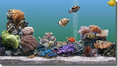 Free Downloads Center Blog Blog Archive Marine Aquarium Gone Fishin