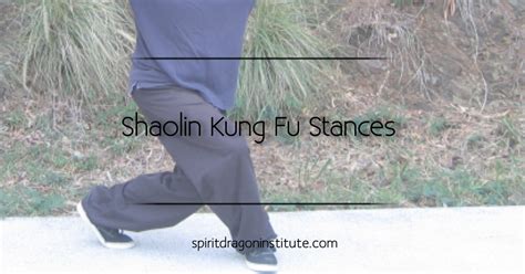 Kung Fu Basic Stances